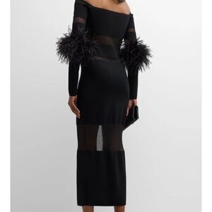 Bodycon dress with sheer and feather detailing nwt da